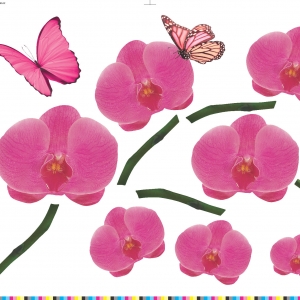 Декоративна наліпка Label №12 Розовая орхидея